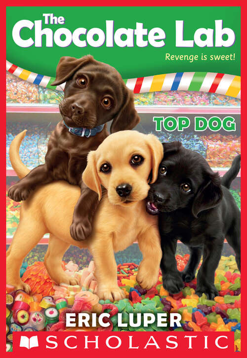 Book cover of Top Dog (The Chocolate Lab #3)