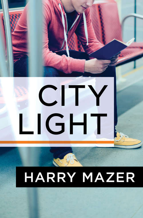 Book cover of City Light