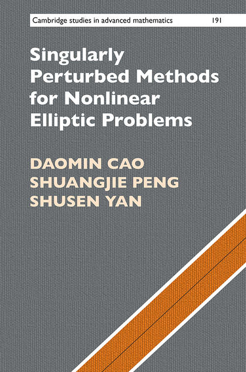 Singularly Perturbed Methods for Nonlinear Elliptic Problems (Cambridge Studies in Advanced Mathematics)