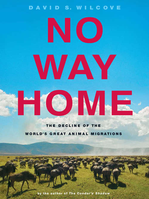 Book cover of No Way Home: The Decline of the World's Great Animal Migrations (3)