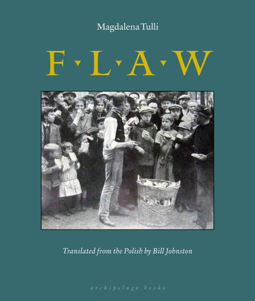 Book cover of Flaw