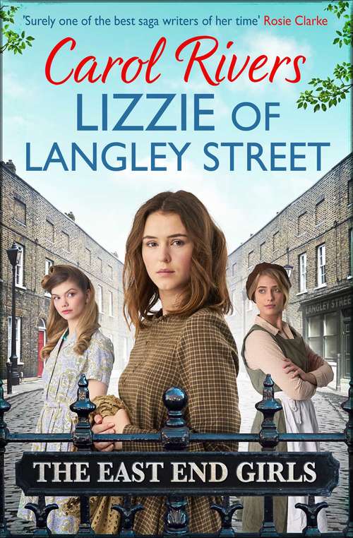 Book cover of Lizzie of Langley Street