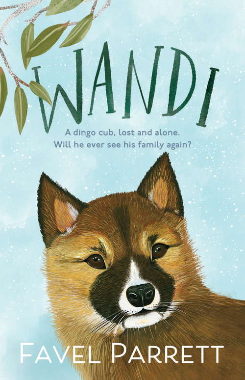 Book cover of Wandi