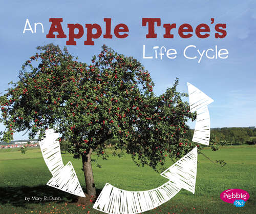 Book cover of An Apple Tree's Life Cycle (Explore Life Cycles Ser.)