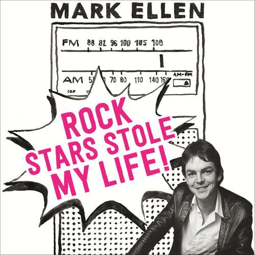 Rock Stars Stole my Life!: A Big Bad Love Affair with Music