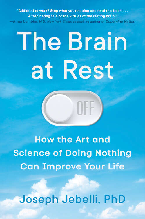 Book cover of The Brain at Rest: How the Art and Science of Doing Nothing Can Improve Your Life