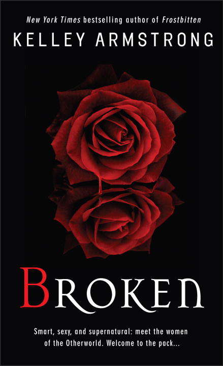 Broken (Women of the Otherworld, Book #6)
