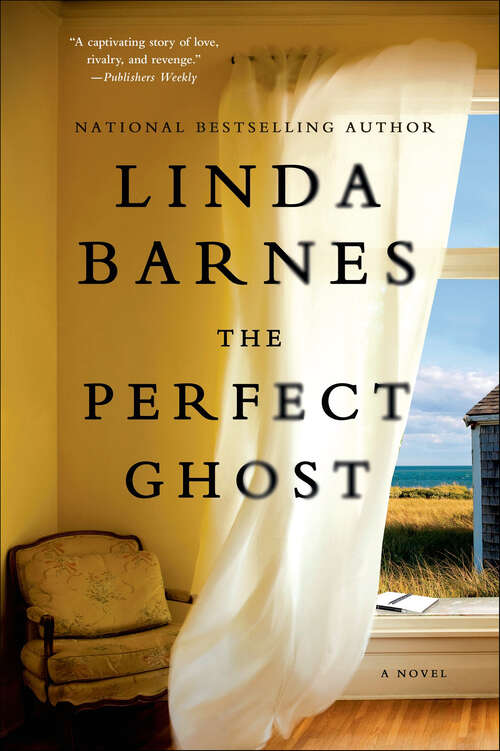 Book cover of The Perfect Ghost: A Novel