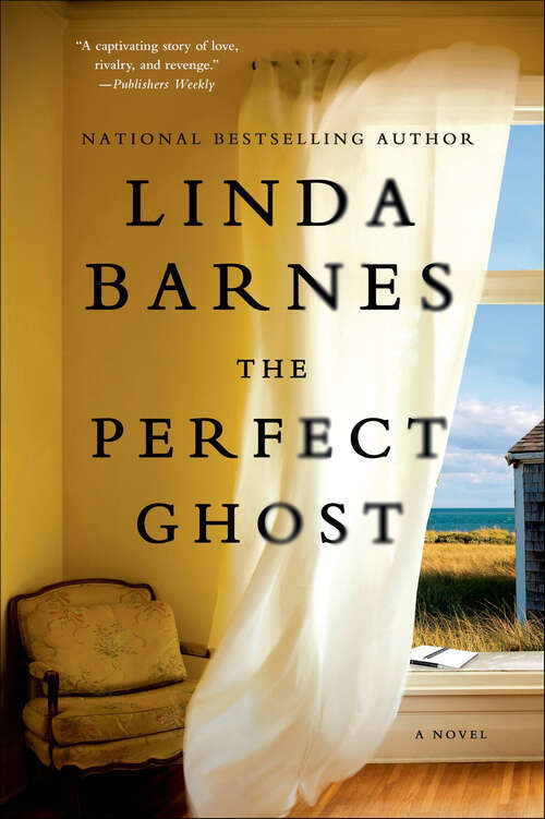 Book cover of The Perfect Ghost: A Novel