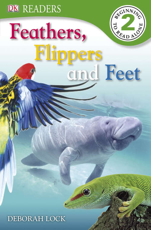 Book cover of DK Readers: Feather, Flippers, and Feet (DK Readers Level 2)