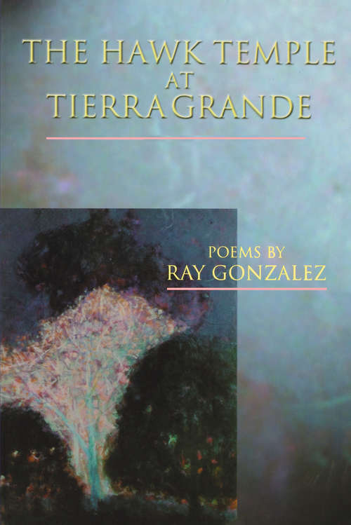 Book cover of The Hawk Temple at Tierra Grande (American Poets Continuum: Vol. 72)