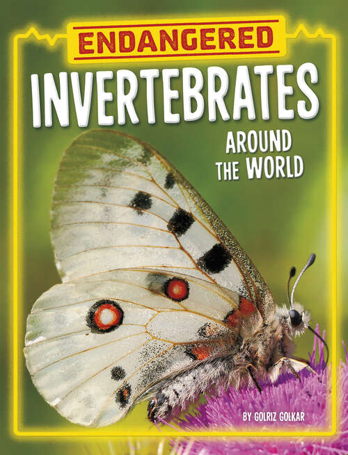 Book cover of Endangered Invertebrates around the World (Endangered Animals Around The World Ser.)