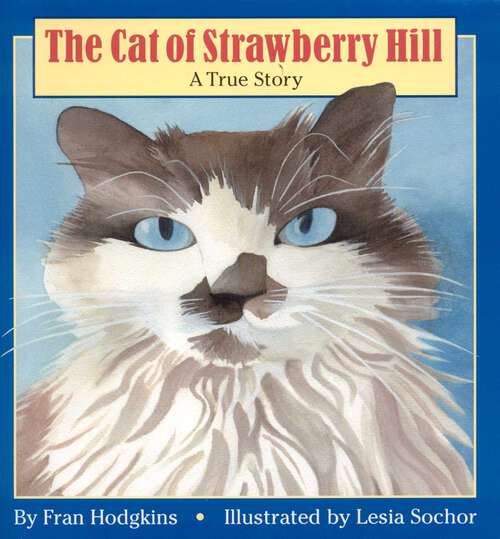 Book cover of The Cat of Strawberry Hill