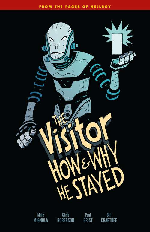 Book cover of The Visitor: How and Why He Stayed