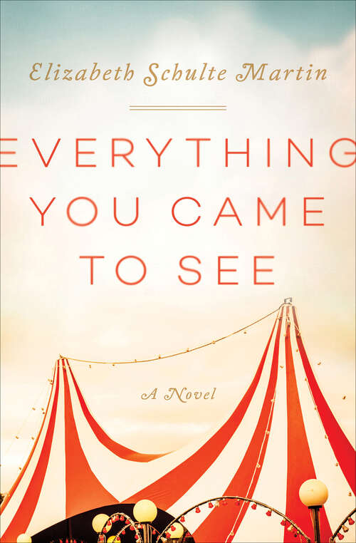 Everything You Came to See: A Novel