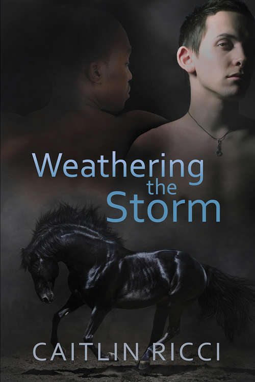 Weathering the Storm (Robbie & Sam #1)
