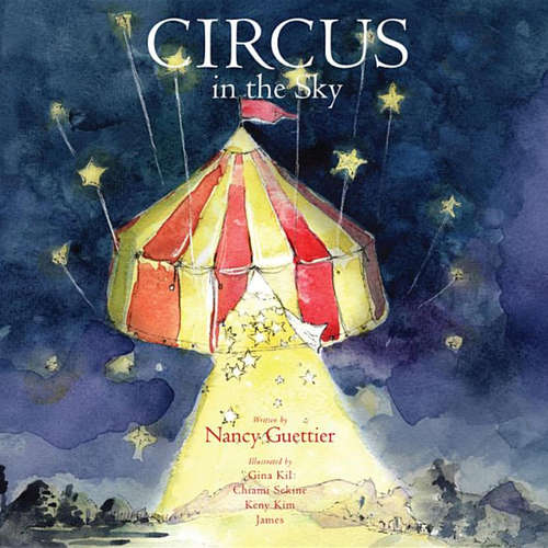 Book cover of Circus in the Sky