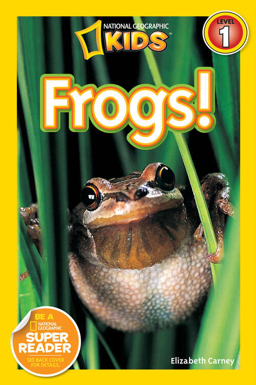 Book cover of Frogs (Readers)