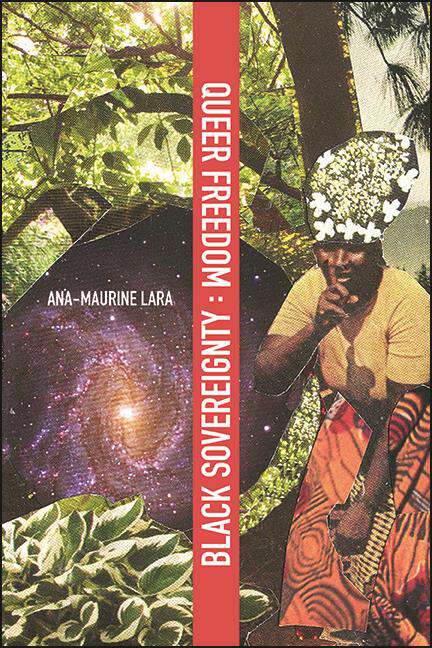 Book cover of Queer Freedom : Black Sovereignty (SUNY series, Afro-Latinx Futures)