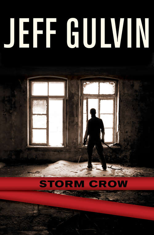 Book cover of Storm Crow