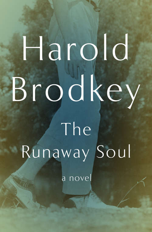 Book cover of The Runaway Soul