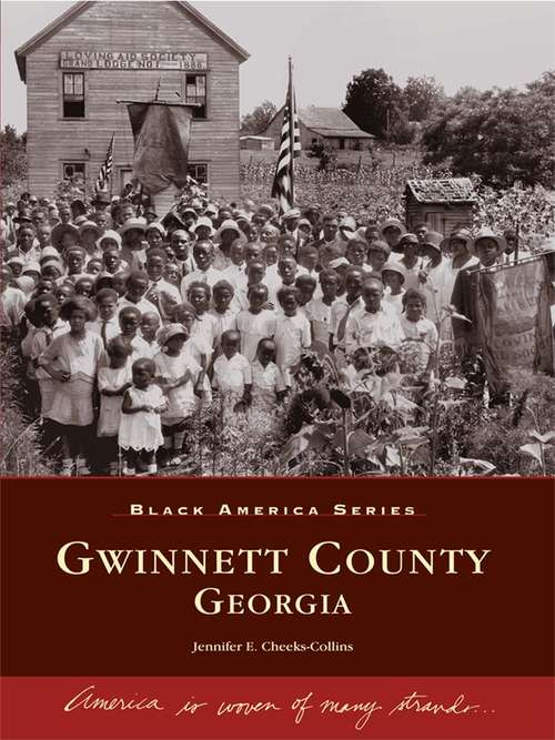 Book cover of Gwinnett County, Georgia (Black America Series)