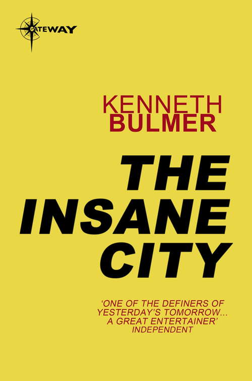 Book cover of The Insane City