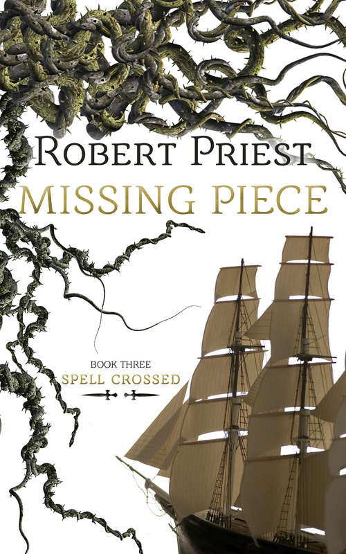Book cover of Missing Piece: Spell Crossed