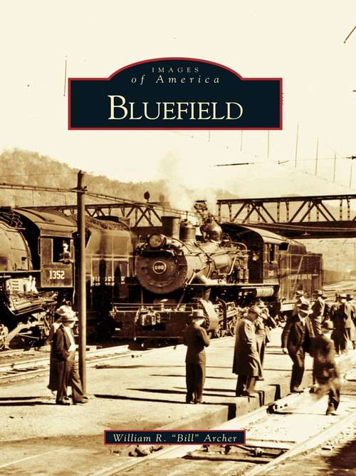 Book cover of Bluefield