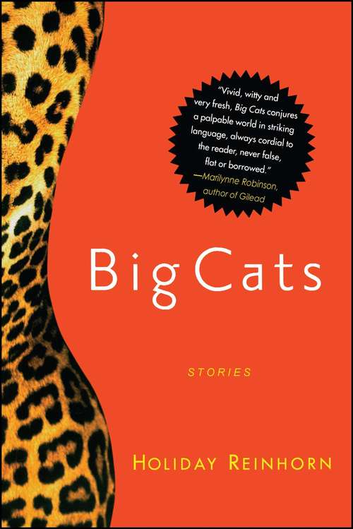Book cover of Big Cats