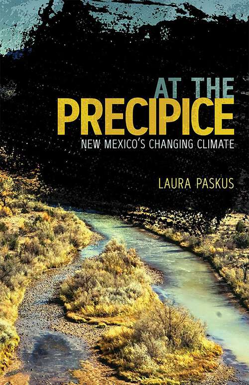 Book cover of At the Precipice: New Mexico's Changing Climate