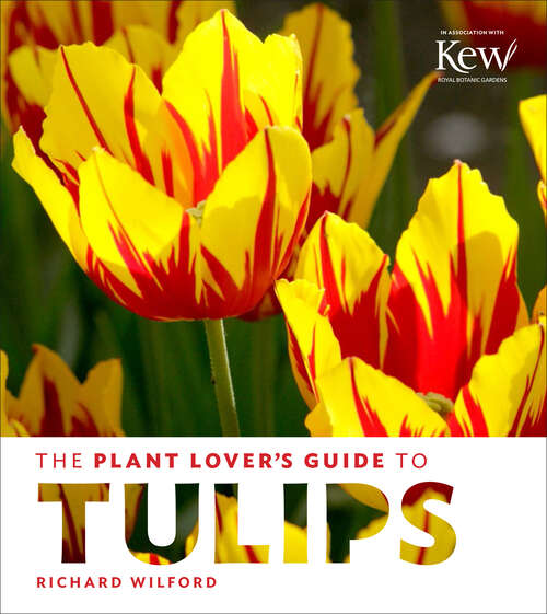 Book cover of The Plant Lover's Guide to Tulips (The Plant Lover’s Guides)
