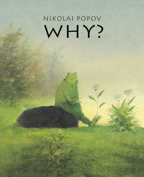 Book cover of WHY?: A Timeless Story Told Without Words