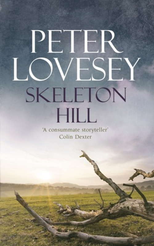 Book cover of Skeleton Hill