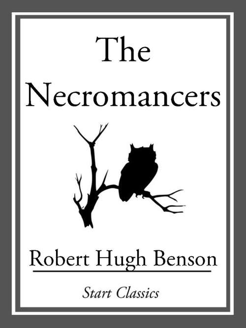 Book cover of The Necromancers