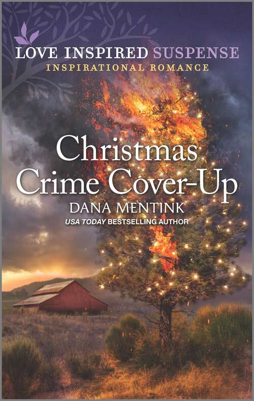 Book cover of Christmas Crime Cover-Up (Original) (Desert Justice #5)