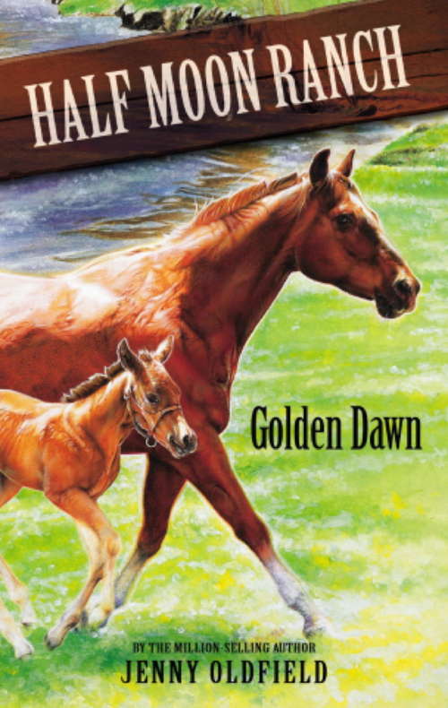 Book cover of Horses of Half Moon Ranch: Book 12