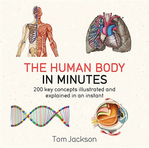 Book cover of The Human Body in Minutes