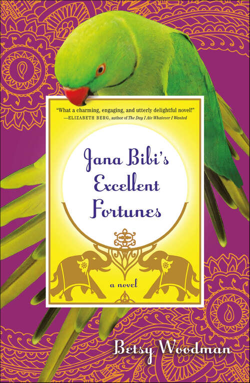 Book cover of Jana Bibi's Excellent Fortunes: A Novel (Jana Bibi Adventures #1)
