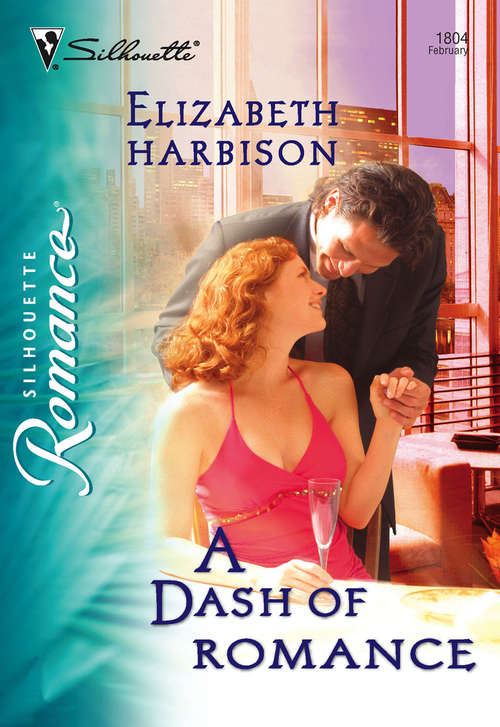 Book cover of A Dash of Romance