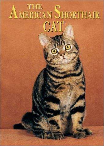 Book cover of The American Shorthair Cat (Learning About Cats)