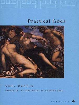 Book cover of Practical Gods