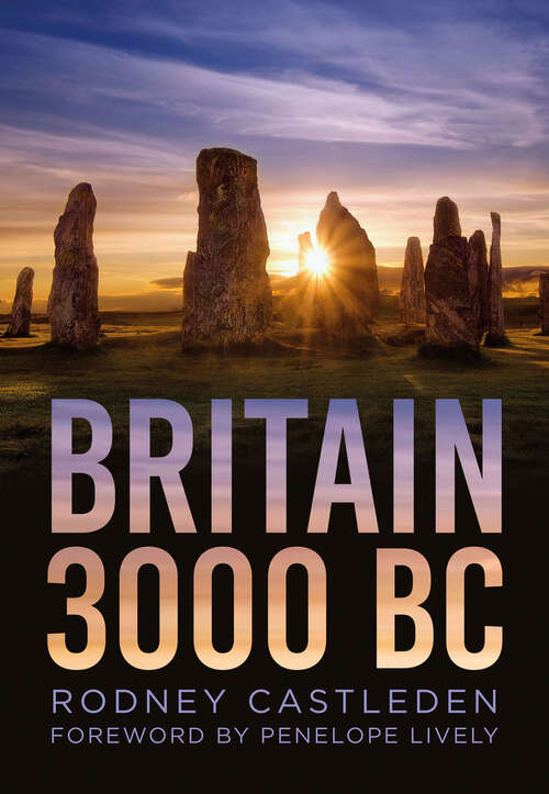 Book cover of Britain 3000 BC