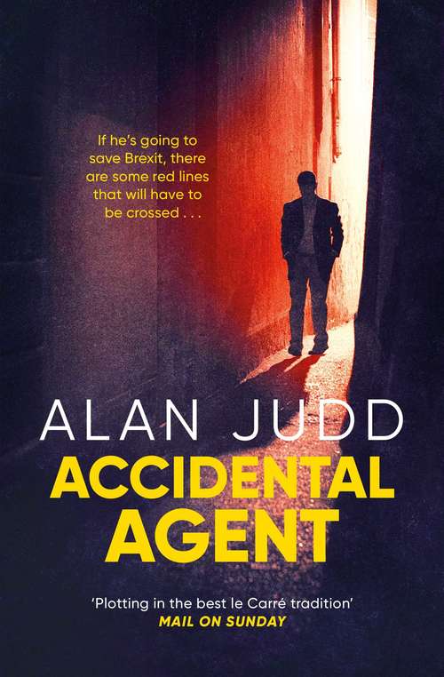 Book cover of Accidental Agent