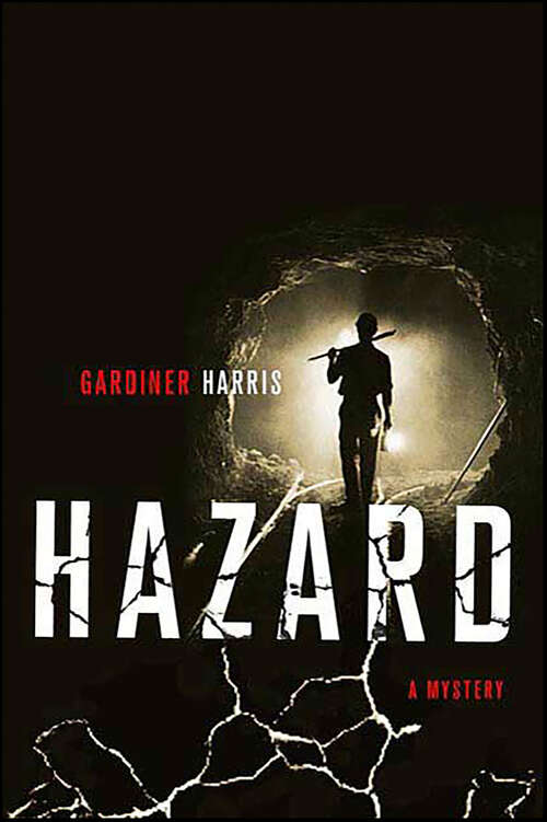 Book cover of Hazard: A Mystery