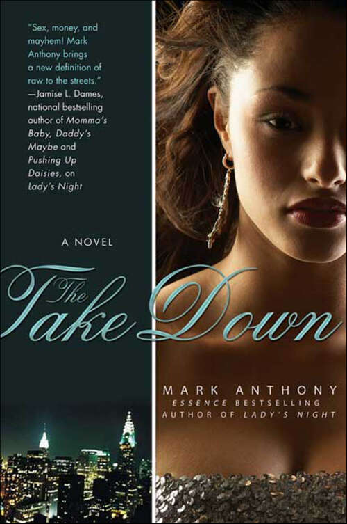 Book cover of The Take Down: A Novel