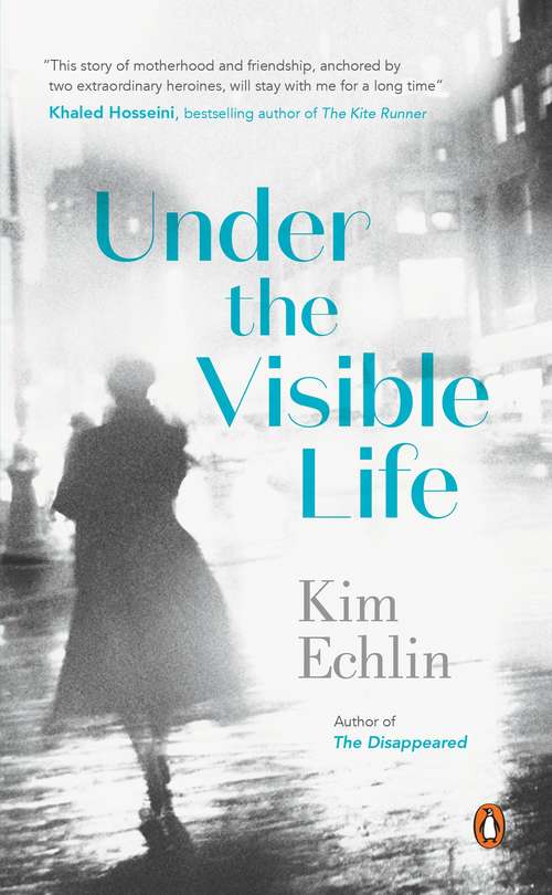 Book cover of Under the Visible Life