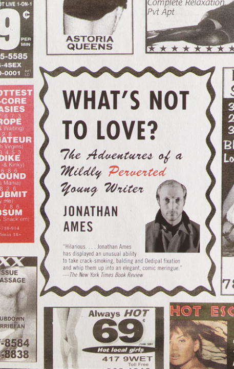 Book cover of What's Not to Love?