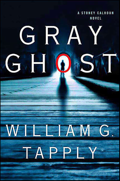 Book cover of Gray Ghost (Stoney Calhoun Novels)