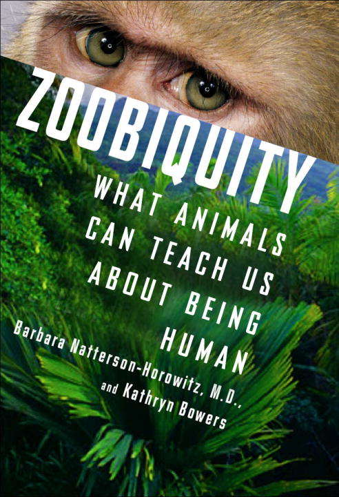 Book cover of Zoobiquity